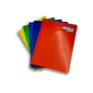 Combo 5 Cuadernos 1x1 Alpha
