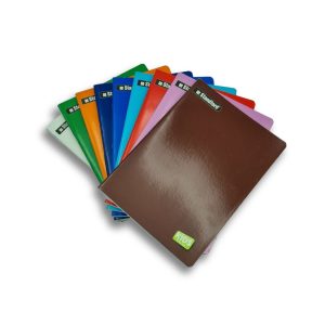 Combo 5 Cuadernos 1x1 Standford